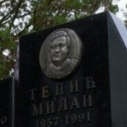 Милан Тепић